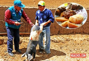 Ahora a comer chicharrones y lechoncitos con confianza en Huancavelica Ahora a comer chicharrones y lechoncitos con confianza en Huancavelica