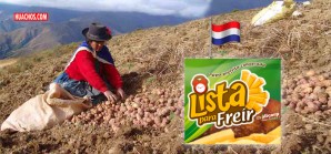 Holandeses campeones vendiendo papa a los peruanos Holandeses campeones vendiendo papa a los peruanos