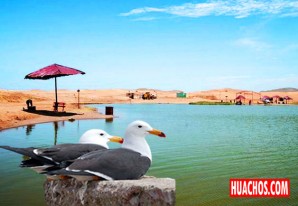 La Encantada, paraíso a descubrir en Huacho norte de Lima La Encantada, paraíso a descubrir en Huacho norte de Lima