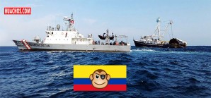 Intervienen 4 embarcaciones ecuatorianas e incautan más de 550 toneladas de bonito Intervienen 4 embarcaciones ecuatorianas e incautan más de 550 toneladas de bonito