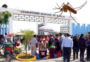 Evitar de dejar envases de flores con agua en los cementerios por el Día de Todos los Santos Evitar de dejar envases de flores con agua en los cementerios por el Día de Todos los Santos
