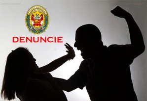 Obligaciones del policía al recibir una denuncia por violencia contra la mujer Obligaciones del policía al recibir una denuncia por violencia contra la mujer