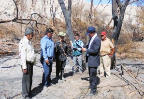 Pirómanos queman 4 hectáreas de bosque de huarango, árbol emblemático de Ica Pirómanos queman 4 hectáreas de bosque de huarango, árbol emblemático de Ica