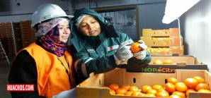 Delegación de Malasia en nuestro país para comprar fruta fresca Delegación de Malasia en nuestro país para comprar fruta fresca