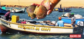 En Paracas (Pisco) hay un exitoso proyecto de maricultura que vale un Perú En Paracas (Pisco) hay un exitoso proyecto de maricultura que vale un Perú