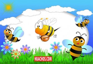 9 cosas que quizá no sabías de las abejas... y 5 que puedes hacer para protegerlas | VIDEO 9 cosas que quizá no sabías de las abejas... y 5 que puedes hacer para protegerlas | VIDEO
