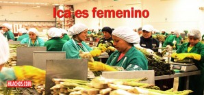 Vigoroso crecimiento poblacional en Ica, mujeres son mayoría Vigoroso crecimiento poblacional en Ica, mujeres son mayoría
