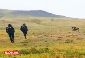 Una pobre niña de 4 años fallece luego de ser arrastrada y golpeada por su burro Una pobre niña de 4 años fallece luego de ser arrastrada y golpeada por su burro