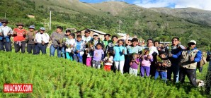 Este 10 de noviembre, 1 millón de plantones en Los Andes - VIDEO Este 10 de noviembre, 1 millón de plantones en Los Andes - VIDEO