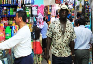 Nuevas reivindicaciones étnicas en una sociedad ultra mestizada con todas las sangres Nuevas reivindicaciones étnicas en una sociedad ultra mestizada con todas las sangres