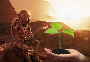 Utilizarán papa peruana para hacer un cultivo en el planeta Marte Utilizarán papa peruana para hacer un cultivo en el planeta Marte