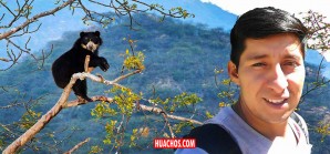 Sientan jurisprudencia por un caso de atentado contra la Madre Naturaleza | VIDEO Sientan jurisprudencia por un caso de atentado contra la Madre Naturaleza | VIDEO