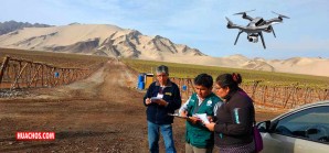 Senasa ejecuta estudios en viñedos para proyecto de teledetección de plagas Senasa ejecuta estudios en viñedos para proyecto de teledetección de plagas