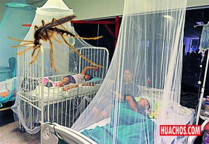Más de 1000 casos confirmados de dengue y 73 de zika en la región Ica - VIDEO Más de 1000 casos confirmados de dengue y 73 de zika en la región Ica - VIDEO