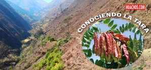 Porqué la carretera Echocan - Huachos debe construirse por la quebrada chica Porqué la carretera Echocan - Huachos debe construirse por la quebrada chica