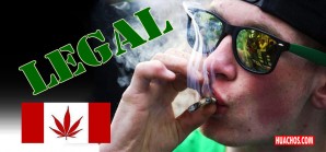 Canadá legaliza a partir del 17 de octubre el cultivo, venta y consumo de la marihuana Canadá legaliza a partir del 17 de octubre el cultivo, venta y consumo de la marihuana