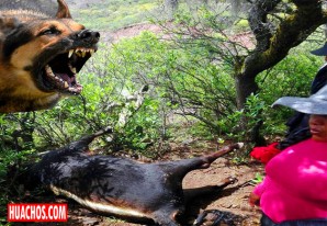 Cunde el pánico en los poblados rurales de la Tierra del Mercurio Cunde el pánico en los poblados rurales de la Tierra del Mercurio