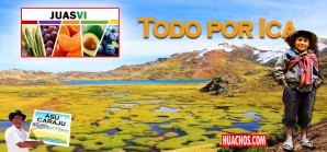 Huancavelica, la alpaca de Dios que debe ser sacrificada en el altar de los ricos - VIDEO Huancavelica, la alpaca de Dios que debe ser sacrificada en el altar de los ricos - VIDEO