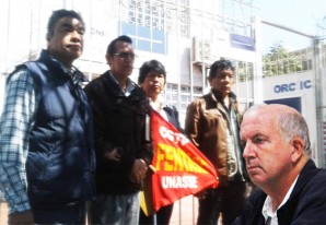 Mucho movimiento en el campo de revocadores de la región Ica - VIDEO Mucho movimiento en el campo de revocadores de la región Ica - VIDEO