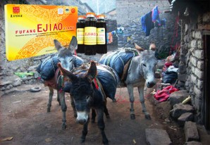 La voracidad de los asiáticos no tiene freno, ahora es el turno de los burros - VIDEO La voracidad de los asiáticos no tiene freno, ahora es el turno de los burros - VIDEO