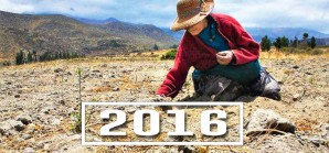 El 2016 ha sido el año más caluroso registrado hasta ahora y ha estado repleto de desafíos El 2016 ha sido el año más caluroso registrado hasta ahora y ha estado repleto de desafíos