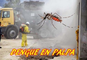 Alarma en Palpa y Nasca por la aparición de casos de dengue Alarma en Palpa y Nasca por la aparición de casos de dengue