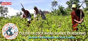 Aumenta la producción y el consumo de cocaína en Sudamérica Aumenta la producción y el consumo de cocaína en Sudamérica
