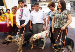 Perros guías en menos de 100 palabras - VIDEO Perros guías en menos de 100 palabras - VIDEO