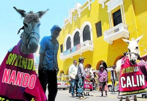 Manifestantes insatisfechos pasean por las calles de Ica a los burros 'Nando' y 'Calín' Manifestantes insatisfechos pasean por las calles de Ica a los burros 'Nando' y 'Calín'