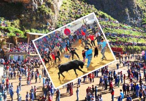 Los días pasan y el número de corneados aumenta en las corridas y 'jala toros' - VIDEO Los días pasan y el número de corneados aumenta en las corridas y 'jala toros' - VIDEO
