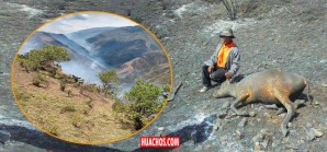 Incendio de proporciones dantescas en bosque de Huaribamba, Huancavelica Incendio de proporciones dantescas en bosque de Huaribamba, Huancavelica