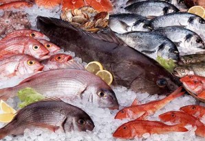 Cuidemos los recursos marinos porque estamos pescando más de lo necesario Cuidemos los recursos marinos porque estamos pescando más de lo necesario