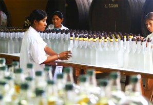 Pisco alcanza la cifra record de 9.5 millones de litros en 2015 Pisco alcanza la cifra record de 9.5 millones de litros en 2015