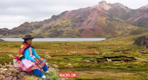 Solicitan a los países proteger y restaurar los humedales que desaparecen a un ritmo alarmante Solicitan a los países proteger y restaurar los humedales que desaparecen a un ritmo alarmante