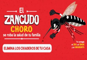 Recomendaciones para evitar la presencia del zancudo 'Choro' en las viviendas - VIDEOS Recomendaciones para evitar la presencia del zancudo 'Choro' en las viviendas - VIDEOS