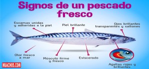 En el mercado todos dicen vender pescados 'frescos' pero hay que saber identificarlos En el mercado todos dicen vender pescados 'frescos' pero hay que saber identificarlos