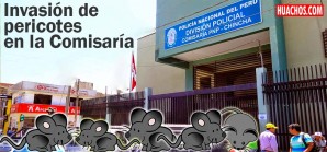 Inspectoría sancionó a exjefes de la División Policial chinchana Inspectoría sancionó a exjefes de la División Policial chinchana