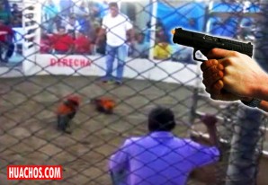 Pelea de gallos en Chincha termina en un tiroteo entre pistoleros y asistentes Pelea de gallos en Chincha termina en un tiroteo entre pistoleros y asistentes