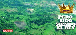 Colombia sigue siendo «el rey» de la cocaína en el mundo | VIDEO Colombia sigue siendo «el rey» de la cocaína en el mundo | VIDEO