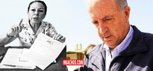 En Ica, a partir del 01-1-2019 ciertos individuos piensan hacer mucha leña del árbol caído En Ica, a partir del 01-1-2019 ciertos individuos piensan hacer mucha leña del árbol caído