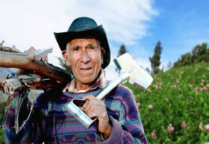 El papa Francisco y el inestimable trabajo de los pequeños agricultores El papa Francisco y el inestimable trabajo de los pequeños agricultores